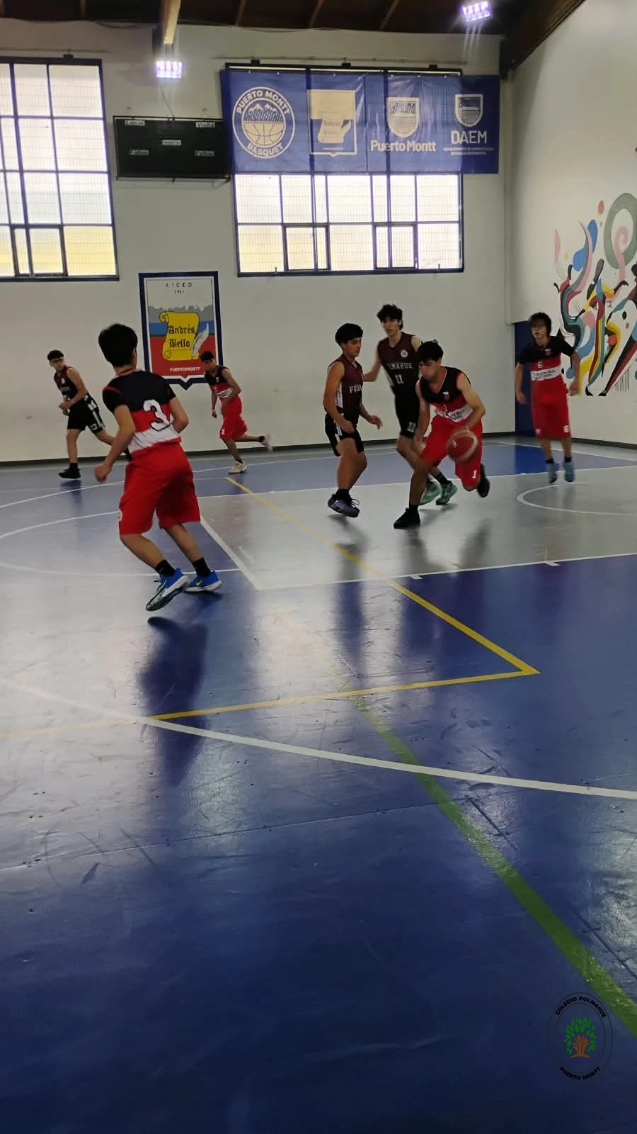 Imagen de la noticia: El Colegio Pulmahue brilla con un doble subcampeonato en el Torneo de Baloncesto Seno en Reloncaví