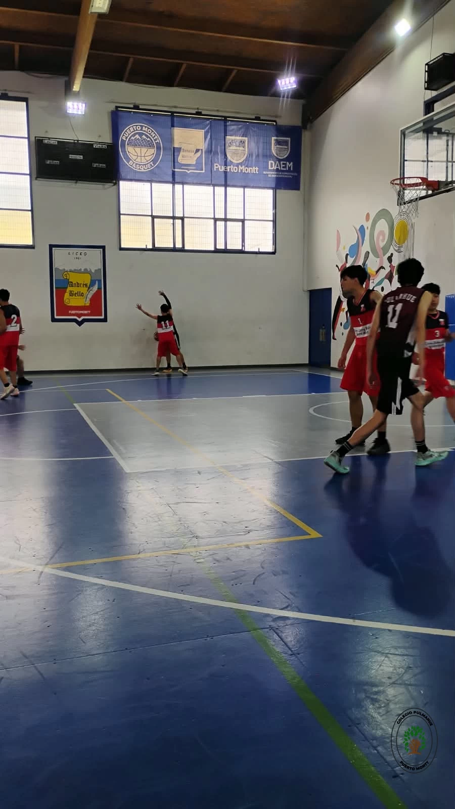 Imagen de la noticia: El Colegio Pulmahue brilla con un doble subcampeonato en el Torneo de Baloncesto Seno en Reloncaví