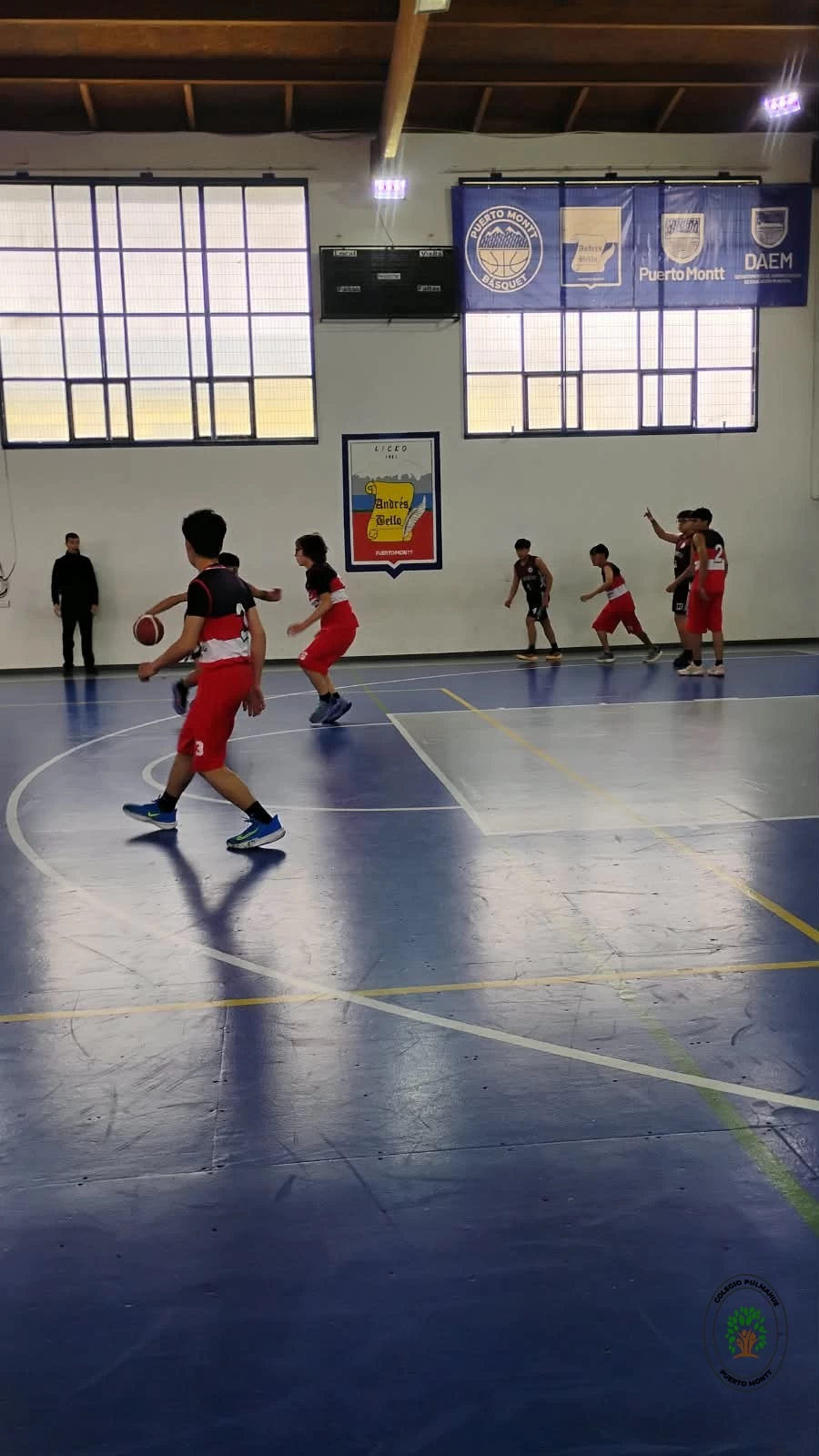 Imagen de la noticia: El Colegio Pulmahue brilla con un doble subcampeonato en el Torneo de Baloncesto Seno en Reloncaví