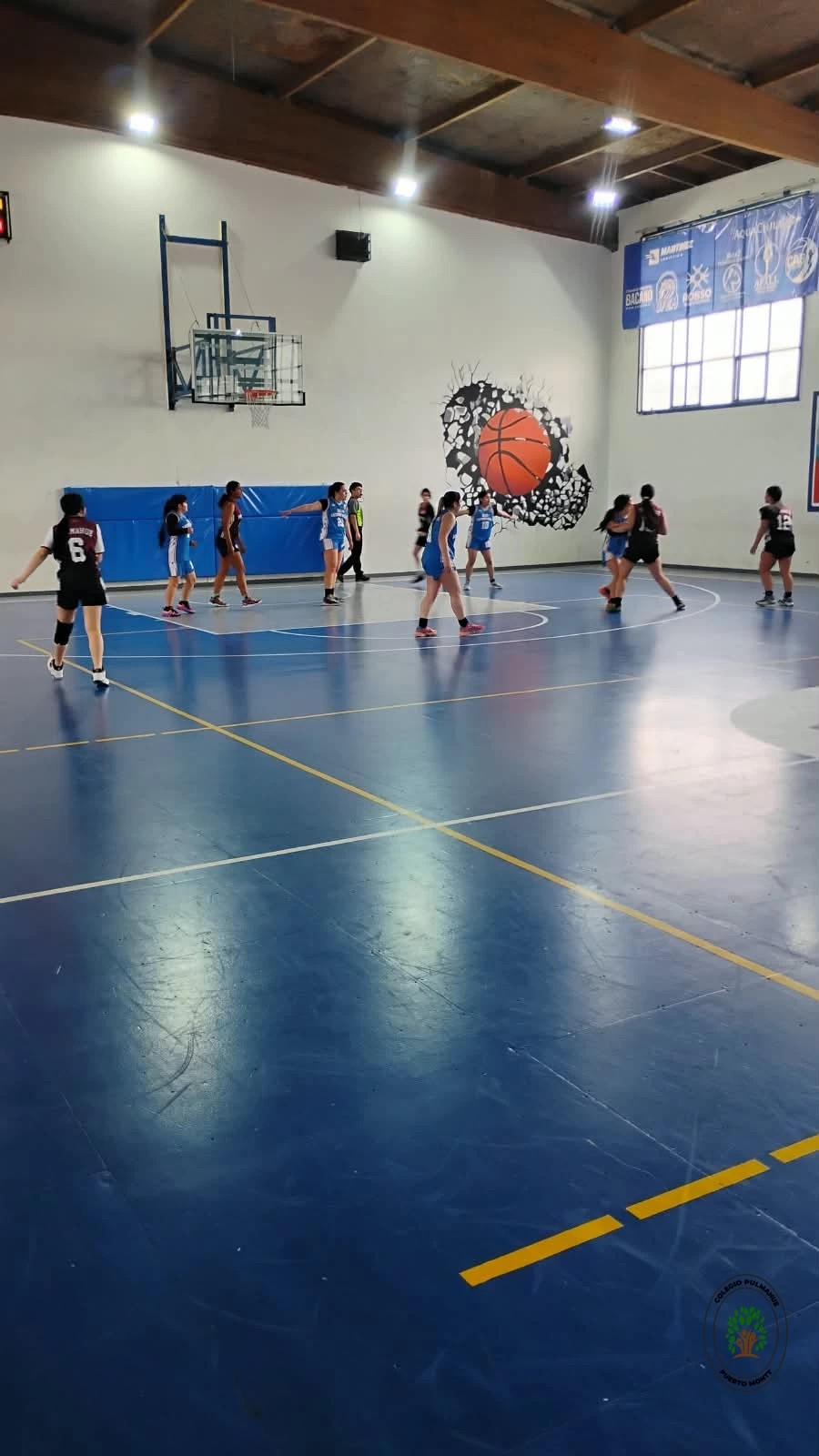Imagen de la noticia: El Colegio Pulmahue brilla con un doble subcampeonato en el Torneo de Baloncesto Seno en Reloncaví