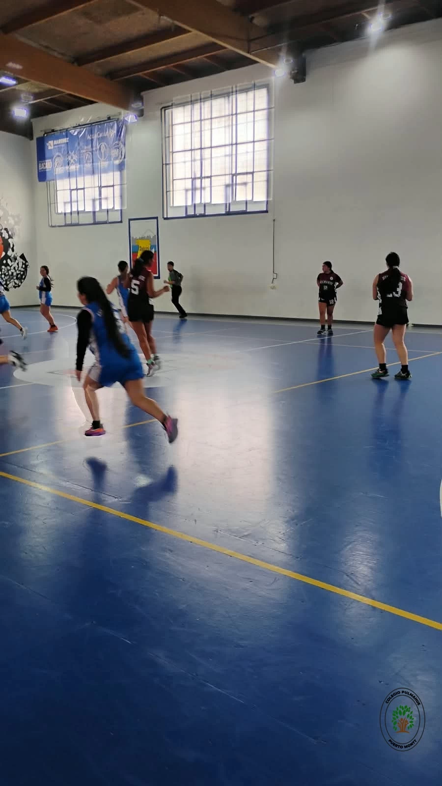 Imagen de la noticia: El Colegio Pulmahue brilla con un doble subcampeonato en el Torneo de Baloncesto Seno en Reloncaví
