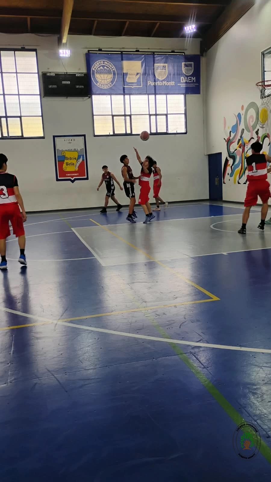 Imagen de la noticia: El Colegio Pulmahue brilla con un doble subcampeonato en el Torneo de Baloncesto Seno en Reloncaví