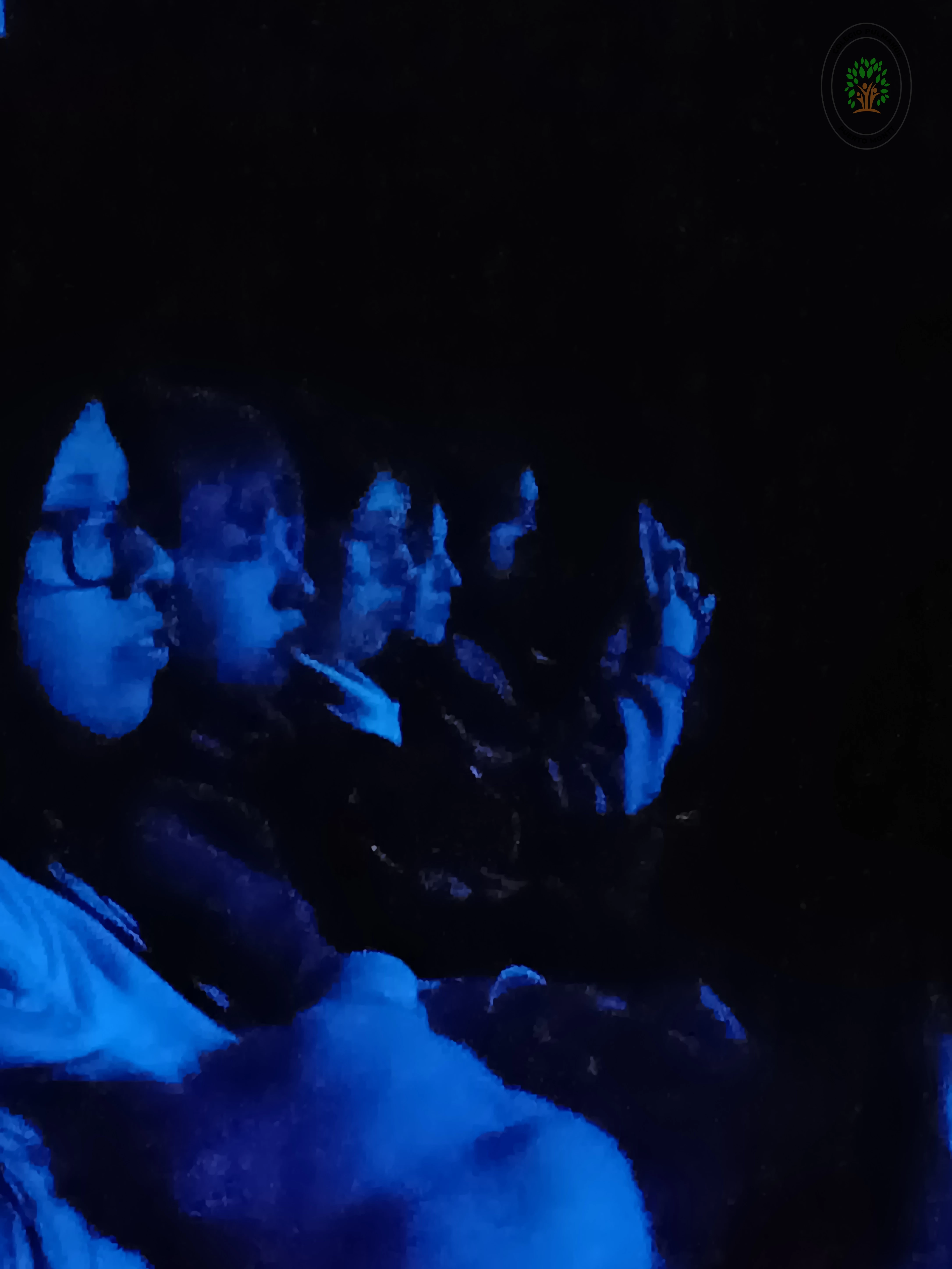 Imagen de la noticia: Estudiantes de 7mo y 8vo básico disfrutan de la obra "Caído del cielo" en el Teatro Diego Rivera